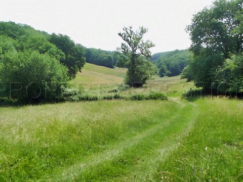 photo no. 9