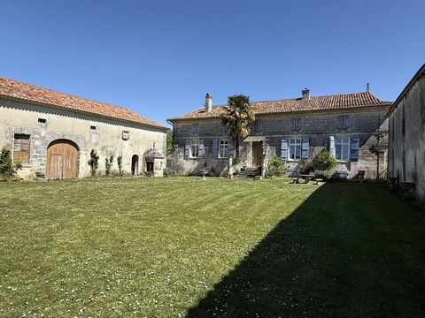 photo no. 4