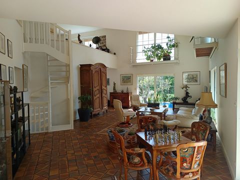 photo no. 11