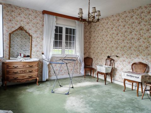 photo no. 12