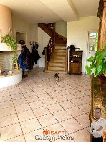 photo no. 17