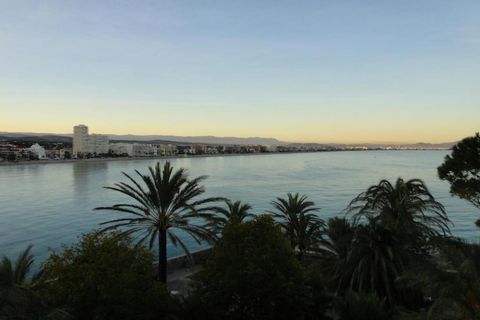Los apartamentos forman parte de un complejo vacacional con mucha vegetación y ubicado directamente sobre la costa, solo separado de las hermosas y amplias playas por el paseo marítimo. El complejo consta de varios edificios donde se encuentran los a...