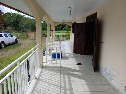 photo no. 11