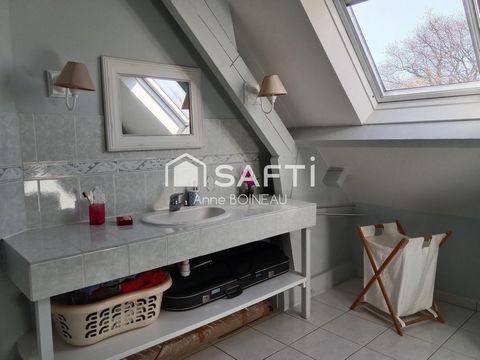 photo no. 12