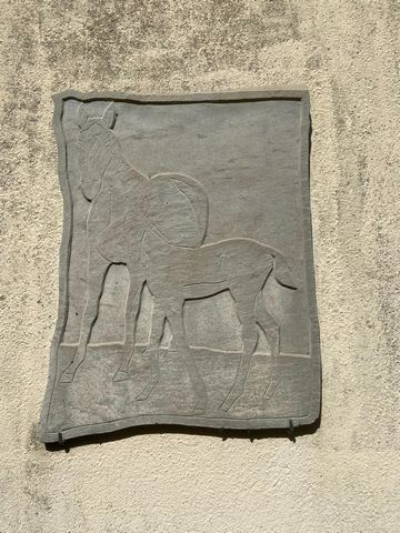 photo no. 7