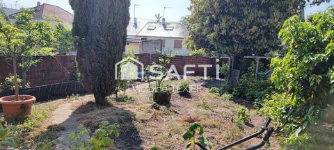 photo no. 9