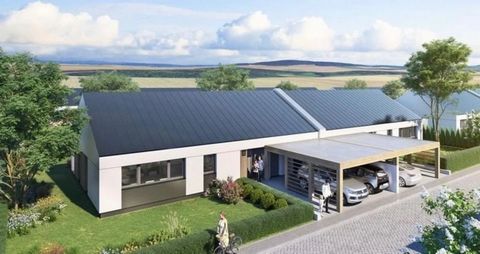 Welkom bij een NIEUWE ONDERVERDELING IN TARGOSZYN, MSCIWOJOW-een uitnodigend toevluchtsoord, perfect voor een WEEKEND HOME of een TOEKOMSTIGE AIRBNB-INVESTERING. Targoszyn ligt in de buurt van een SEREEN MEER met ADEMBENEMEND UITZICHT en biedt een ru...