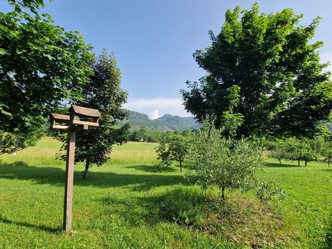 photo no. 19