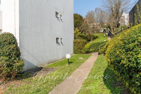 photo no. 9