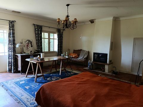 photo no. 11