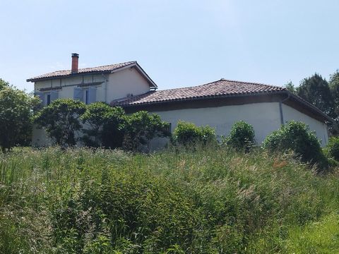 photo no. 18