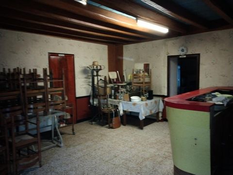 photo no. 6