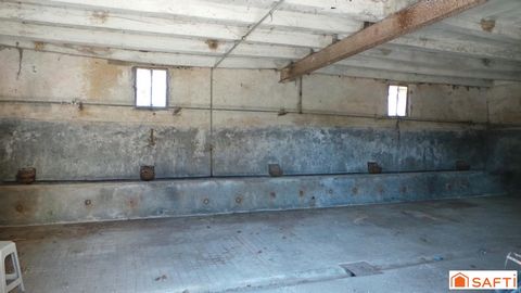 photo no. 7