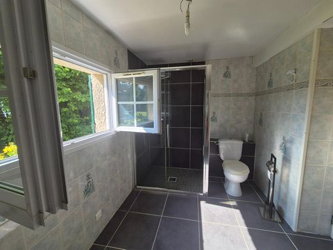 photo no. 13