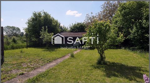 photo no. 18