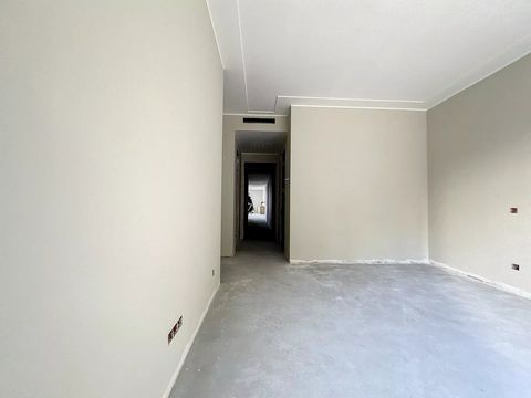 photo no. 11