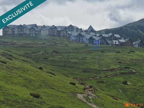 photo no. 11