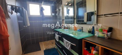 photo no. 12