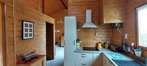 photo no. 8