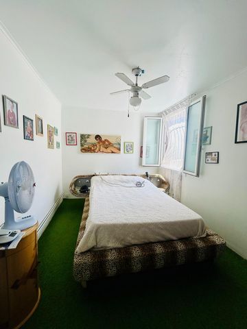 photo no. 8