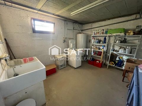 photo no. 10