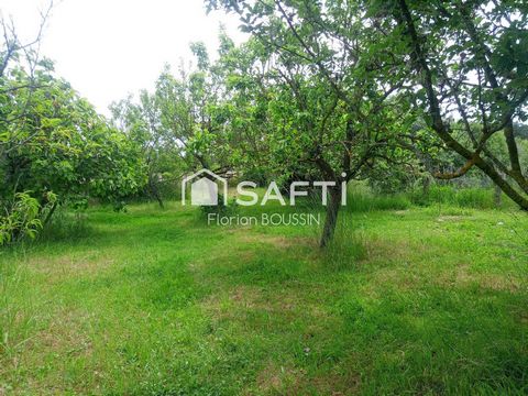 photo no. 16