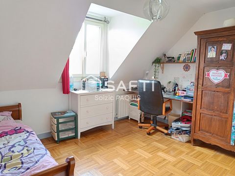 photo no. 11