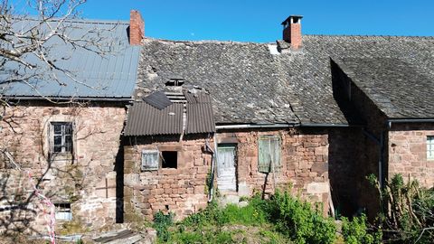 photo no. 9