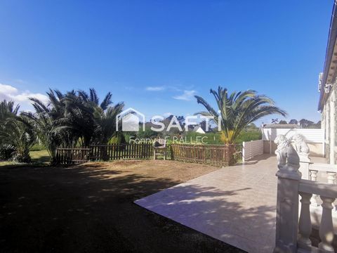 photo no. 17