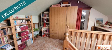 photo no. 11