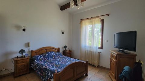 photo no. 13