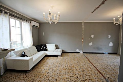photo no. 2