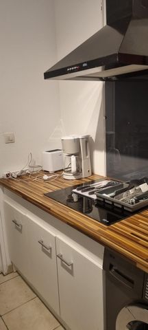 photo no. 6