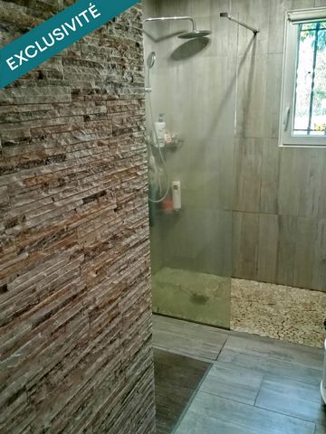 photo no. 6