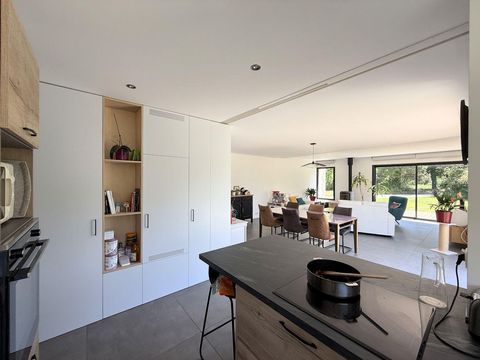 photo no. 9