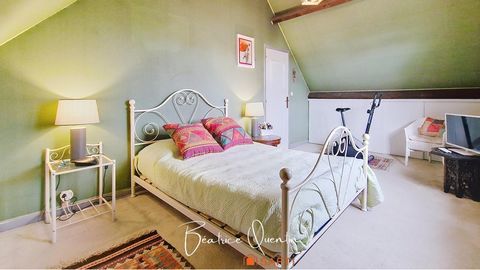 photo no. 13