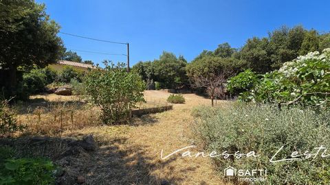 photo no. 13