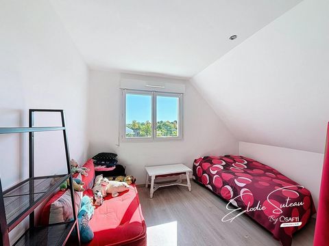 photo no. 12