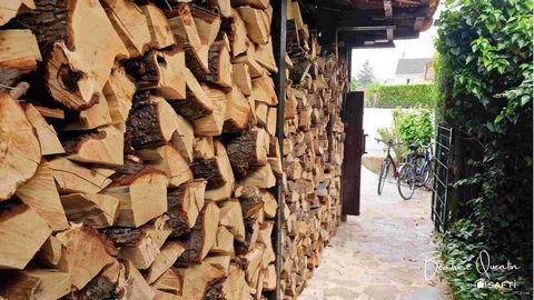 photo no. 13