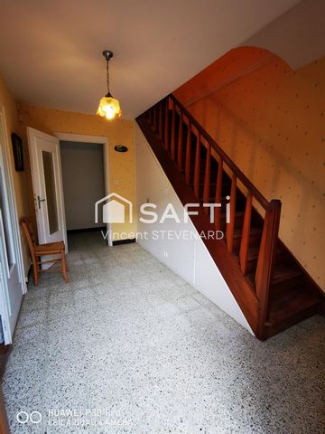 photo no. 6