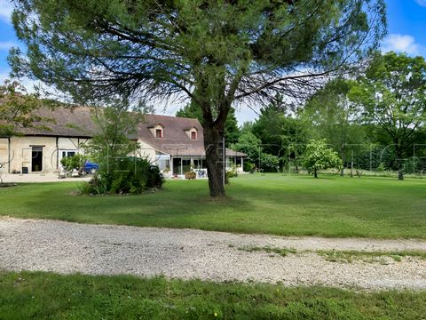 photo no. 10