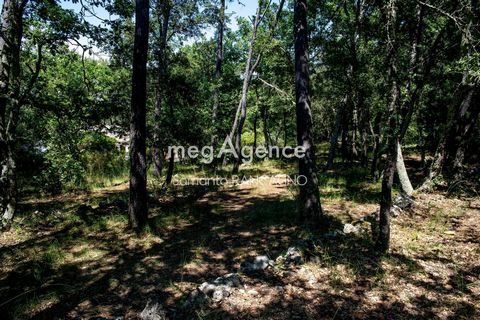 photo no. 12