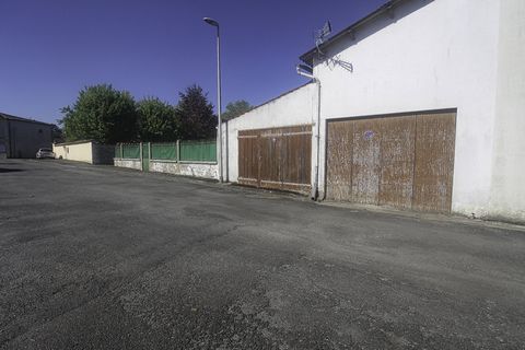 photo no. 10