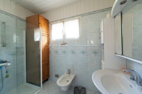 photo no. 6