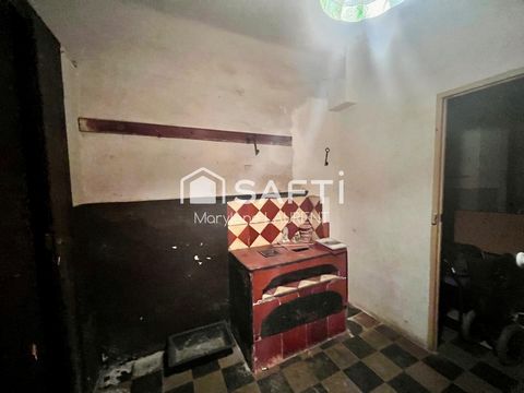 photo no. 6