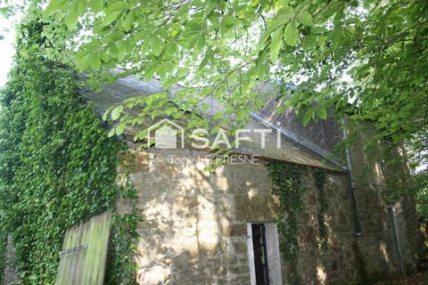 photo no. 6