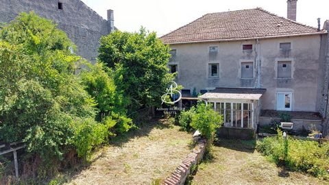 photo no. 15
