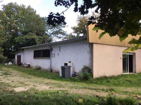 photo no. 11