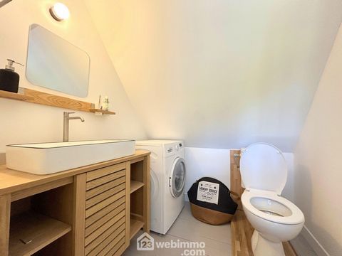 photo no. 19