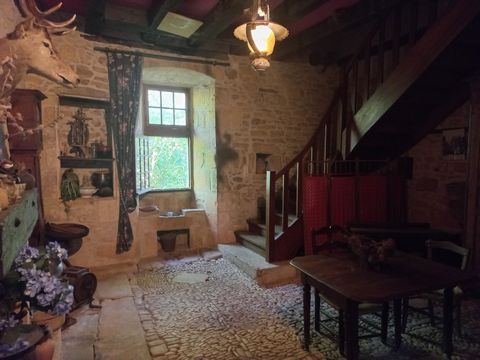 photo no. 15